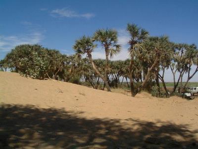 doumier 400x300.jpg
